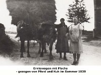 l08 - Erntewagen mit Flachs am Erichsburger Weg - 1939